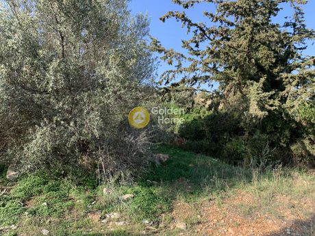 Αγροτεμάχια 4.500τ.μ. για πώληση-Κορωπί » Αγία μαρίνα