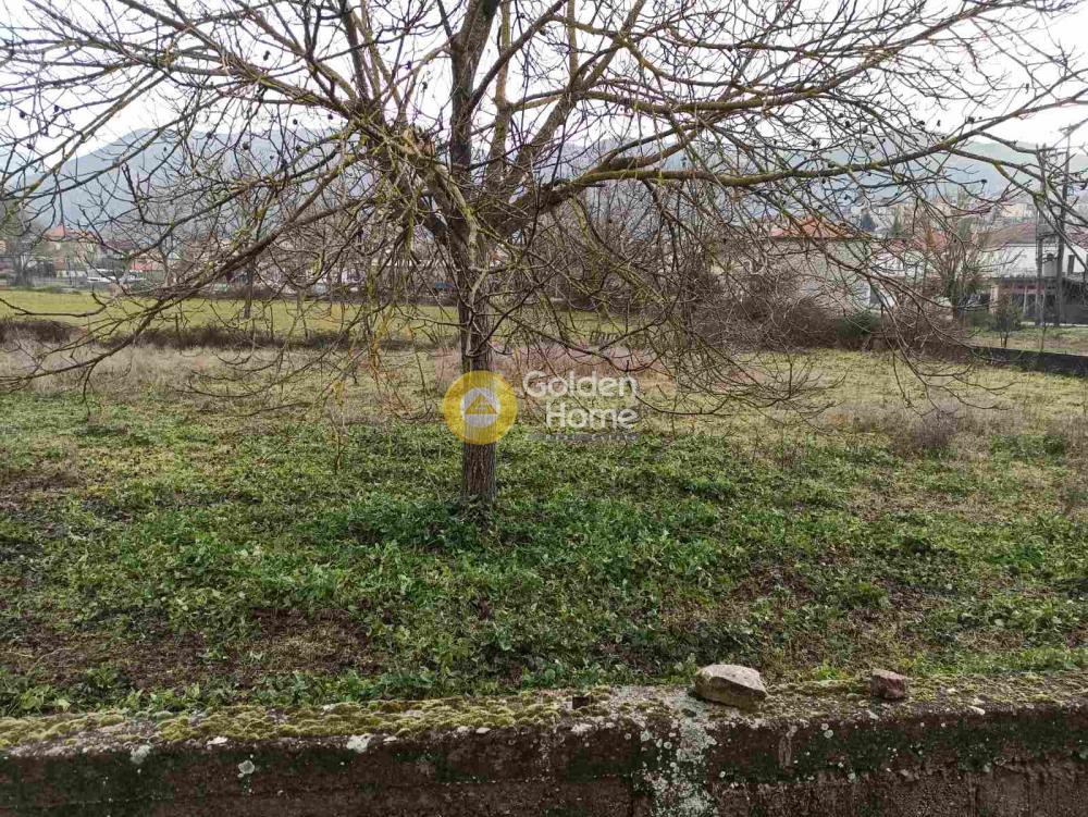 Οικόπεδο 1.176 τ.μ. προς πώληση, Αχαΐα, Λευκάσιο