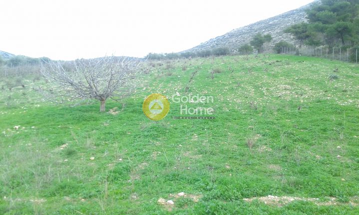 Οικόπεδο 5.090 τ.μ. για πώληση, Αττική - Υπόλοιπο, Μαρκόπουλο