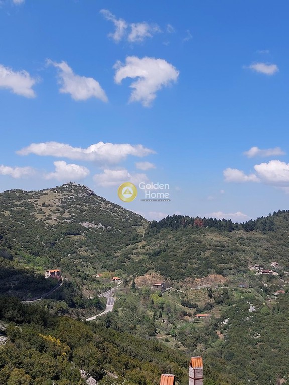 Ξενοδοχείο 229 τ.μ. προς πώληση, Επτάλοφος Παρνασσού