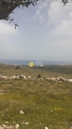 Land plot 8.000 sqm for sale, Heraklion Prefecture, Gouves
