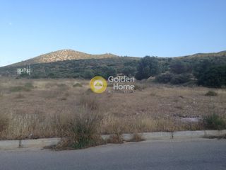 Οικόπεδο 4.350 τ.μ. για πώληση