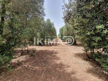 Land plot 3.453sqm for sale-Kallikrateia » Sozopoli