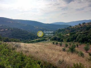 Αγροτεμάχια 5.500 τ.μ. προς πώληση, Ζάρακες-thumb-6