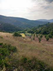 Αγροτεμάχια 5.500 τ.μ. προς πώληση, Ζάρακες-thumb-9