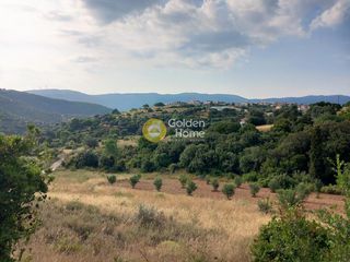 Αγροτεμάχια 5.500 τ.μ. προς πώληση, Ζάρακες-thumb-8