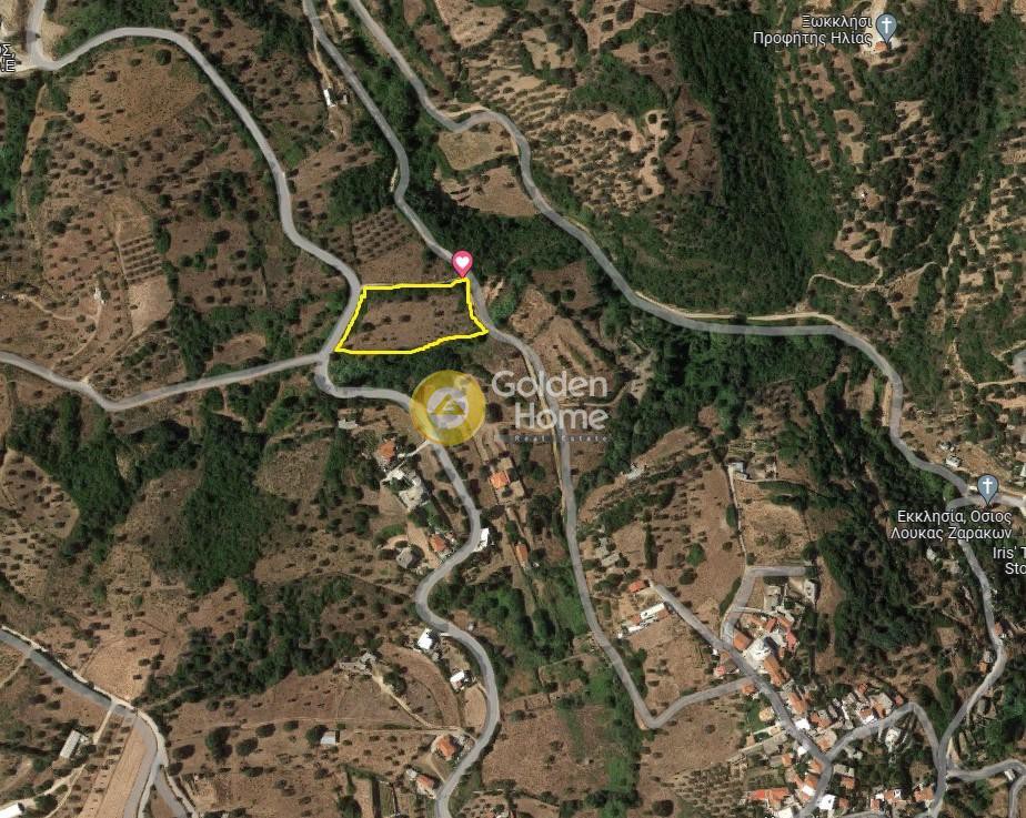 Αγροτεμάχια 5.500 τ.μ. προς πώληση, Ζάρακες