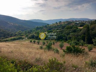 Αγροτεμάχια 5.500 τ.μ. προς πώληση, Ζάρακες-thumb-7
