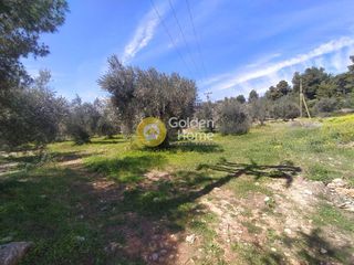 Οικόπεδο 3.000 τ.μ. για πώληση