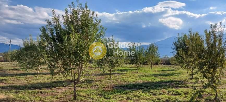 Αγροτεμάχια 10.400 τ.μ. προς πώληση, Κέντρο Λαμίας