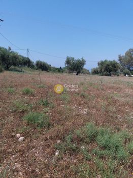 Οικόπεδο 5.000τ.μ. για πώληση-Φαρές » Πλατανόβρυση