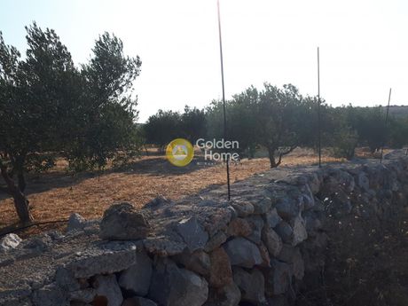 Οικόπεδο 4.100τ.μ. για πώληση-Γούβες » Σκοτεινό
