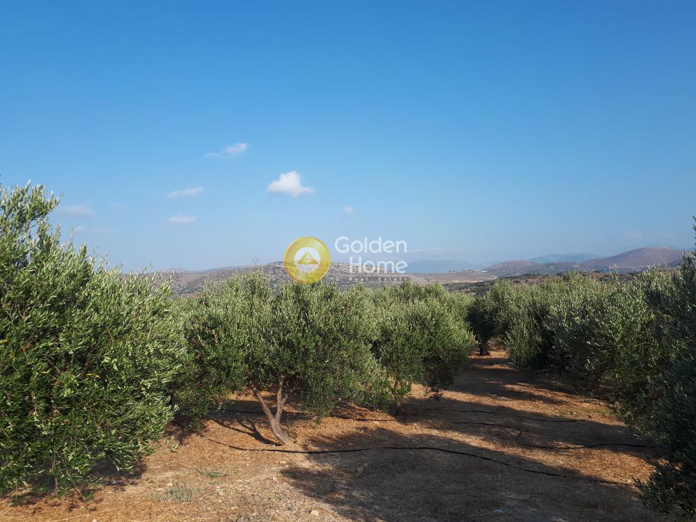 Οικόπεδο 4.100 τ.μ. προς πώληση, Ν. Ηρακλείου, Γούβες