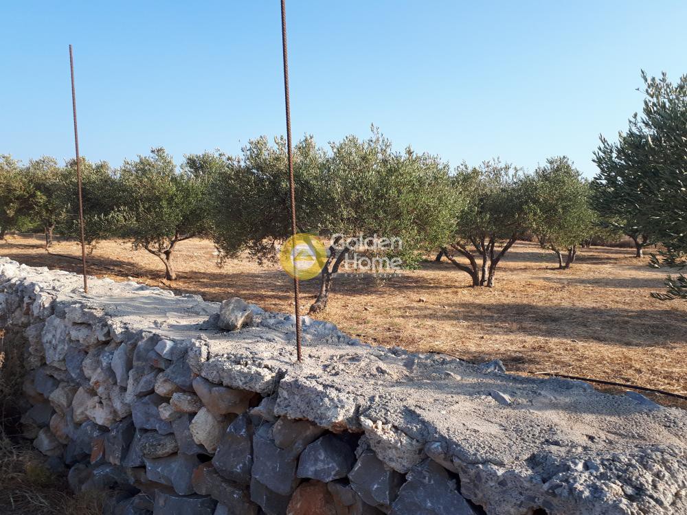 Οικόπεδο 4.100 τ.μ. προς πώληση, Ν. Ηρακλείου, Γούβες