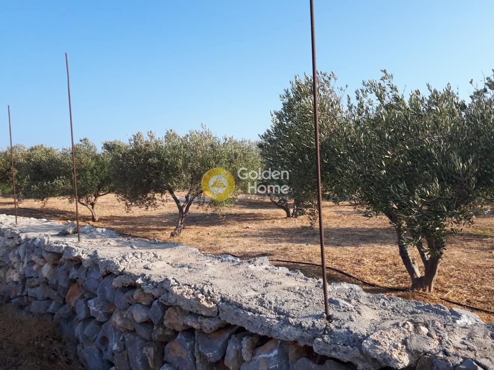 Οικόπεδο 4.100 τ.μ. προς πώληση, Ν. Ηρακλείου, Γούβες