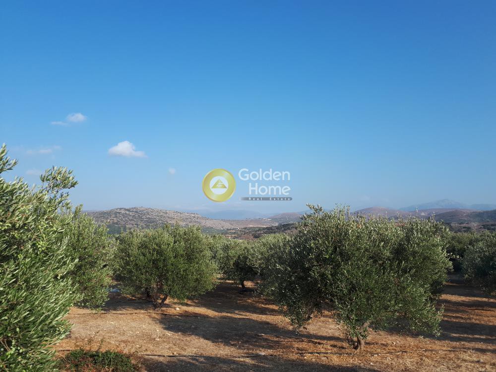 Οικόπεδο 4.100 τ.μ. προς πώληση, Ν. Ηρακλείου, Γούβες