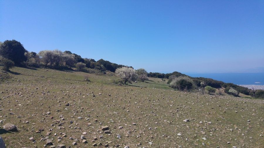 Οικόπεδο 4.000 τ.μ. προς πώληση, Αχαΐα, Πάτρα