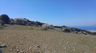 Οικόπεδο 4.000 τ.μ. για πώληση, Αχαΐα, Πάτρα-thumb-4