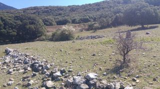 Οικόπεδο 4.000 τ.μ. για πώληση, Αχαΐα, Πάτρα-thumb-2