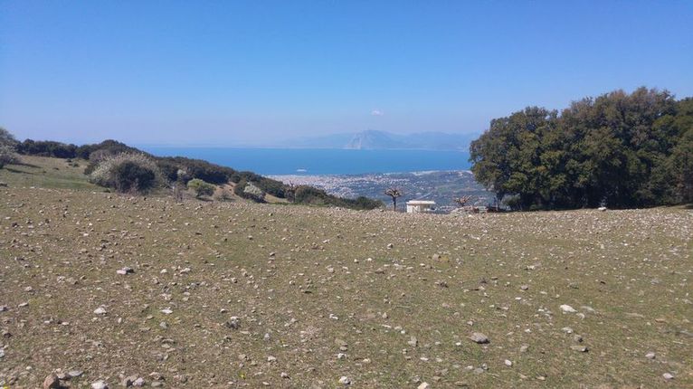 Οικόπεδο 4.000 τ.μ. για πώληση, Αχαΐα, Πάτρα