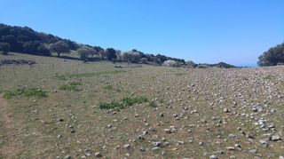 Οικόπεδο 4.000 τ.μ. για πώληση, Αχαΐα, Πάτρα-thumb-23