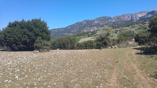 Οικόπεδο 4.000 τ.μ. για πώληση, Αχαΐα, Πάτρα-thumb-22