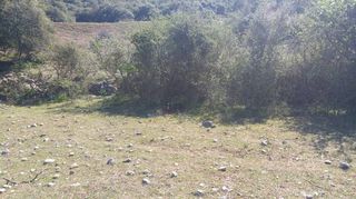 Οικόπεδο 4.000 τ.μ. για πώληση, Αχαΐα, Πάτρα-thumb-7