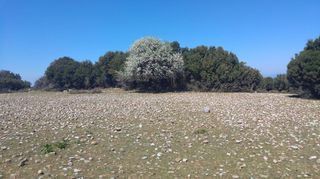 Οικόπεδο 4.000 τ.μ. για πώληση, Αχαΐα, Πάτρα-thumb-6