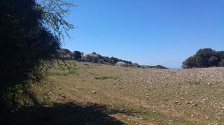 Οικόπεδο 4.000 τ.μ. για πώληση, Αχαΐα, Πάτρα-thumb-11