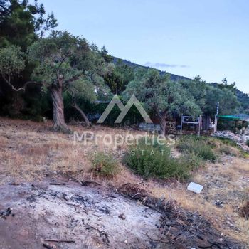 Parcel 1.588sqm for sale-Thasos » Skala Kallirachis