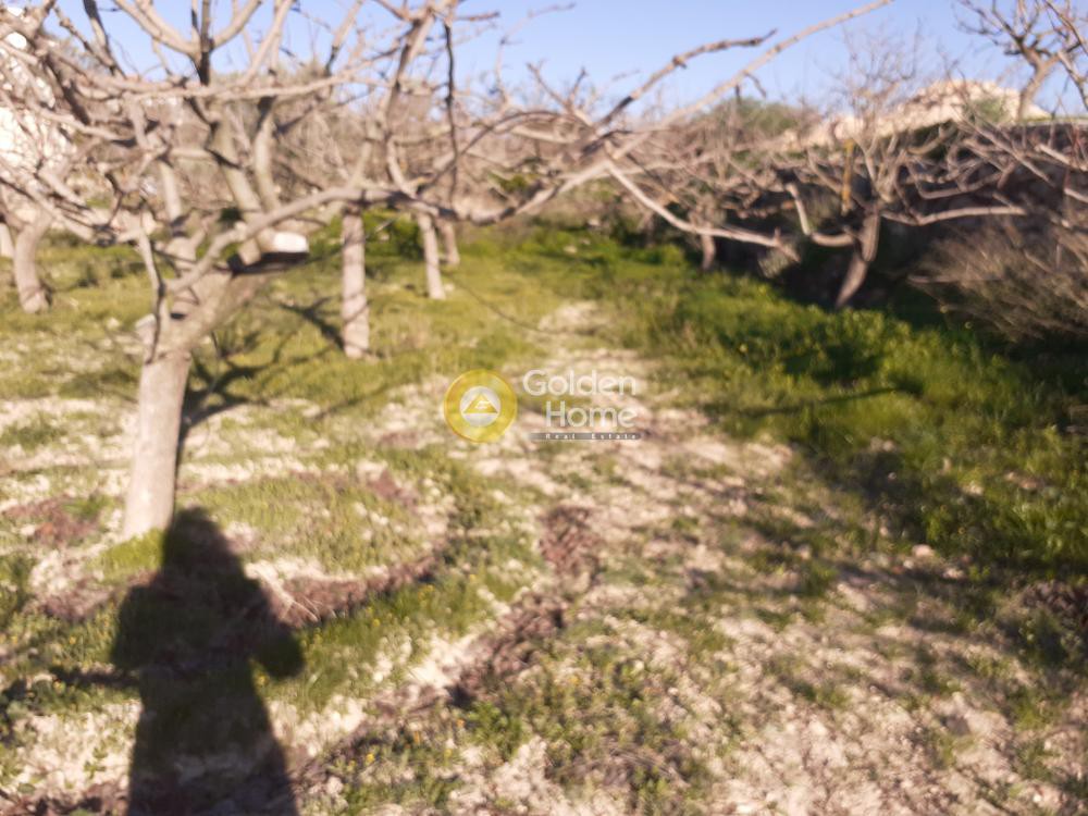 Οικόπεδο 500 τ.μ. προς πώληση, Νησιά Αργοσαρωνικού, Αίγινα