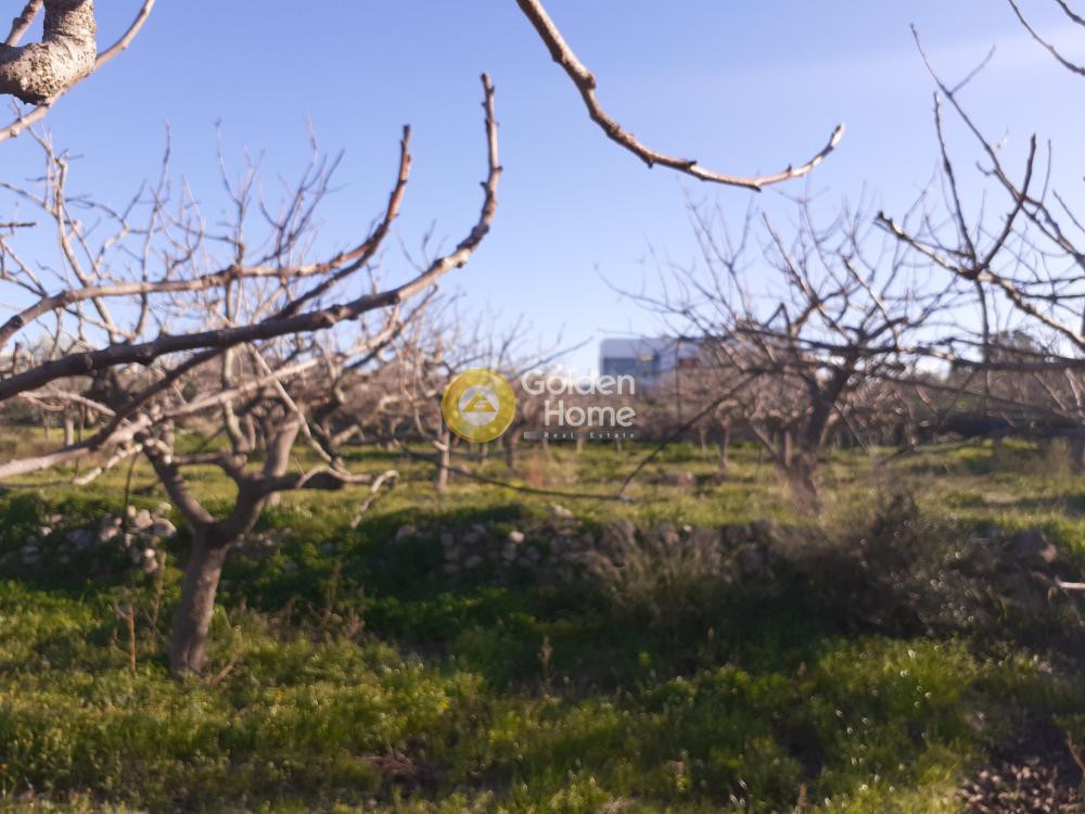 Οικόπεδο 500 τ.μ. προς πώληση, Νησιά Αργοσαρωνικού, Αίγινα