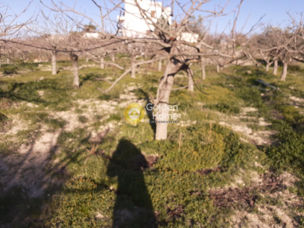 Οικόπεδο 500 τ.μ. προς πώληση, Νησιά Αργοσαρωνικού, Αίγινα