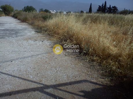 Οικόπεδο 6.000τ.μ. για πώληση-Λυκόβρυση » Αγία βαρβάρα λυκοβρύσεως