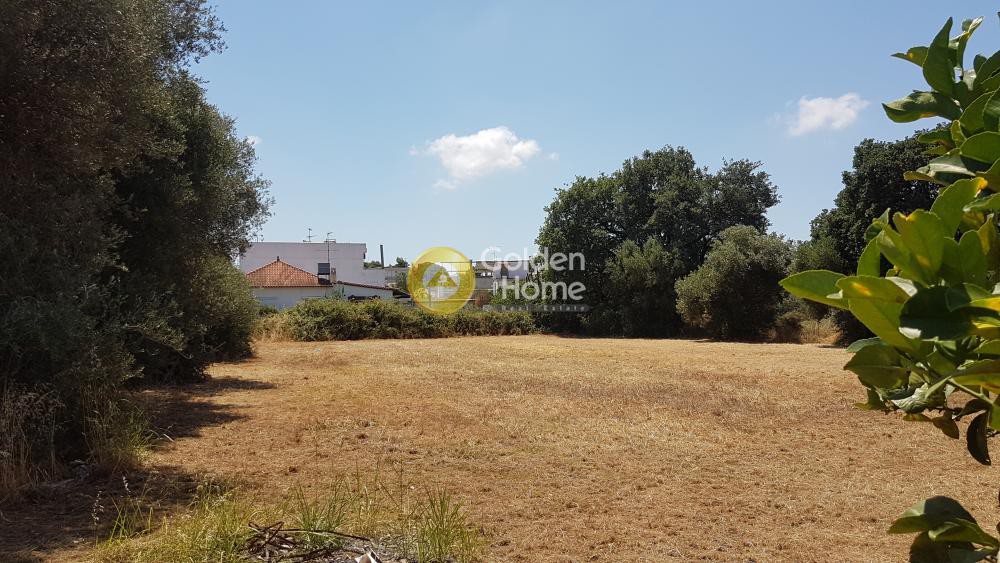 Land plot 2.000 sqm for sale, Ilia, Amaliada