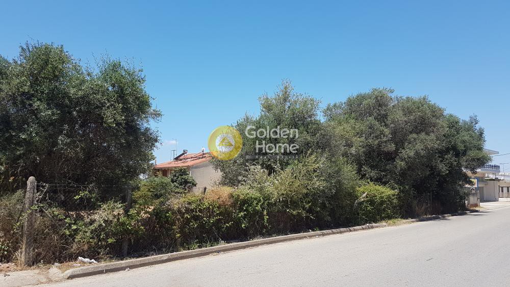 Land plot 2.000 sqm for sale, Ilia, Amaliada