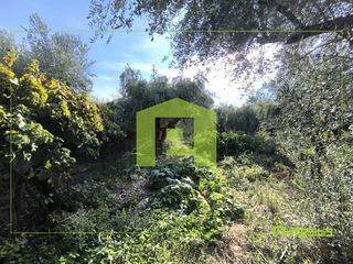Αγροτεμάχια 1.388 τ.μ. προς πώληση, Παραλία Αχαΐας-thumb-15