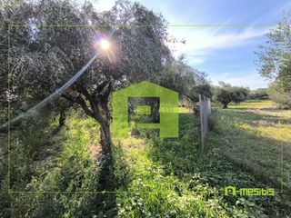 Αγροτεμάχια 1.388 τ.μ. προς πώληση, Παραλία Αχαΐας-thumb-1