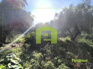 Αγροτεμάχια 1.388 τ.μ. προς πώληση, Παραλία Αχαΐας-thumb-22