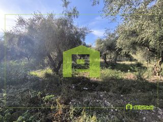 Αγροτεμάχια 1.388 τ.μ. προς πώληση, Παραλία Αχαΐας-thumb-19
