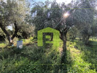 Αγροτεμάχια 1.388 τ.μ. προς πώληση, Παραλία Αχαΐας-thumb-14