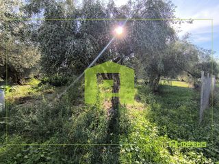 Αγροτεμάχια 1.388 τ.μ. προς πώληση, Παραλία Αχαΐας-thumb-13