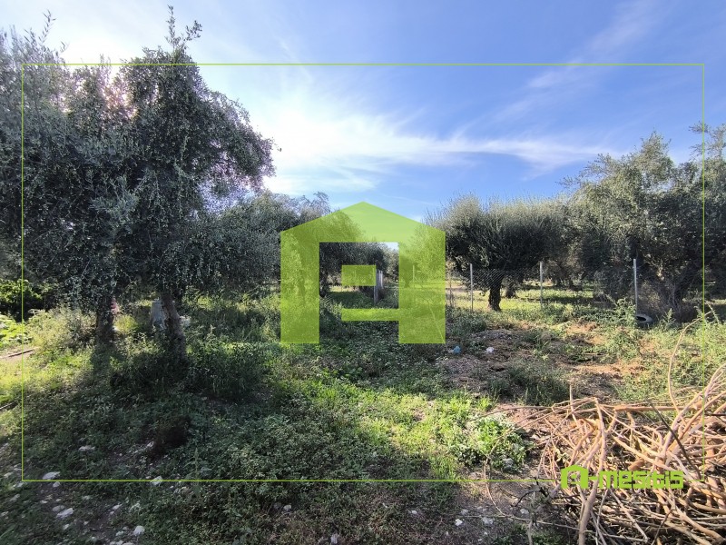 Αγροτεμάχια 1.388 τ.μ. προς πώληση, Παραλία Αχαΐας