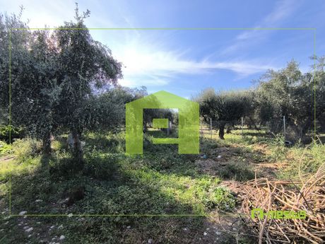 Αγροτεμάχια 1.388τ.μ. για πώληση-Παραλία