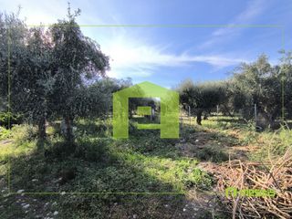 Αγροτεμάχια 1.388 τ.μ. για πώληση
