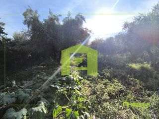 Αγροτεμάχια 1.388 τ.μ. προς πώληση, Παραλία Αχαΐας-thumb-16
