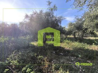 Αγροτεμάχια 1.388 τ.μ. προς πώληση, Παραλία Αχαΐας-thumb-20