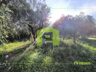 Αγροτεμάχια 1.388 τ.μ. προς πώληση, Παραλία Αχαΐας-thumb-10