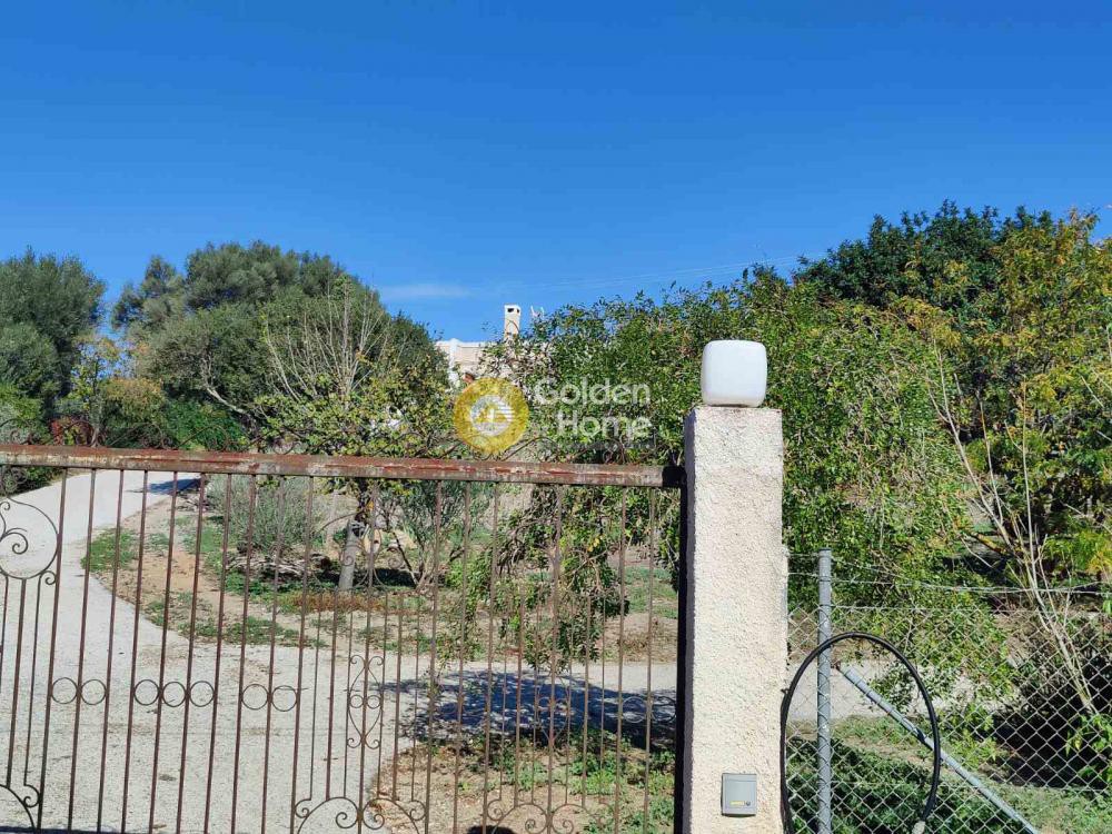 Οικόπεδο 4.600 τ.μ. προς πώληση, Αττική - Υπόλοιπο, Κερατέα
