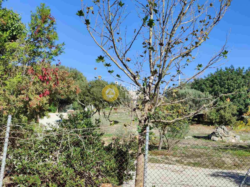 Οικόπεδο 4.600 τ.μ. προς πώληση, Αττική - Υπόλοιπο, Κερατέα
